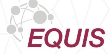 EQUIS Logo
